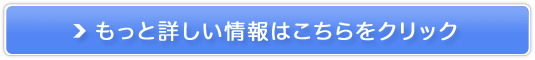 ẙCΌ@Never-riz̔TCg
